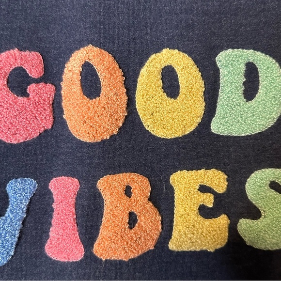 Wildfox Good Vibes Blue Terry Cloth Spell Out Sweatshirt Size Small - Picture 3 of 11